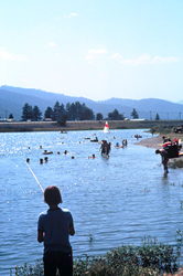 Frenchtown Pond