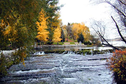 Giant Springs