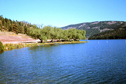 Black Sandy State Park