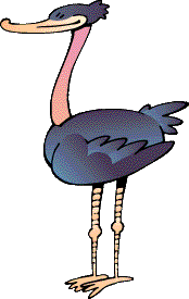 Cartoon illustration of an ostrich.