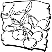 Cartoon of cherries