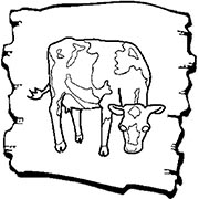 Cartoon of a cow grazing