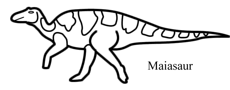 Maiasaur