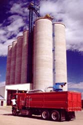 Grain elevator