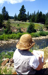 Artist painting plein air