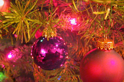 Christmas Tree, gracemagazine.com