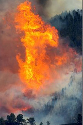 Forest Fire in Montana, July 31 2007