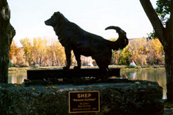 Memorial Sculpture of Shep