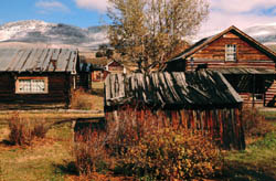 Nevada City Cabins