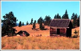 Photo of the exterior of a homestead cabin