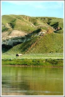 photo of a homestead on the river