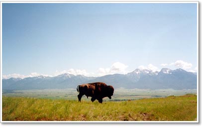 National Bison Range