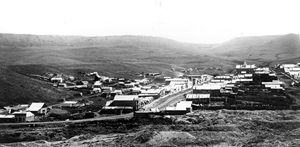 View of Virginia City from a hill.