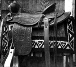 Saddle Photo