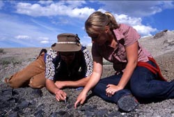 Digging dinos near Choteau.