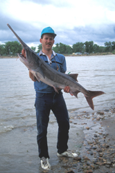 Montana Paddlefish: Best Snagging Spots and Tips - Best Fishing in