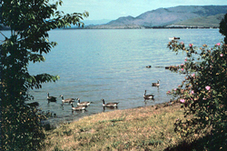 Flathead Lake