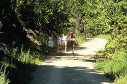 Rattlesnake Wilderness